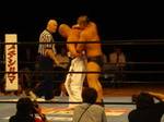 DSC03398.jpg