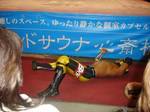 DSC03941.jpg