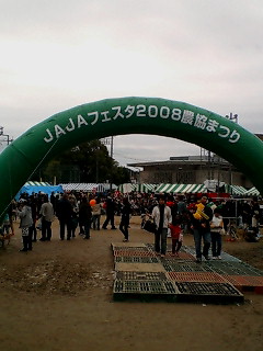 20081109132317.jpg